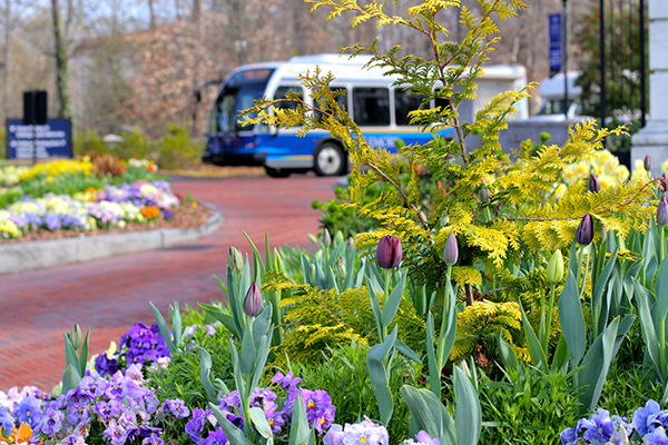 emory university tour